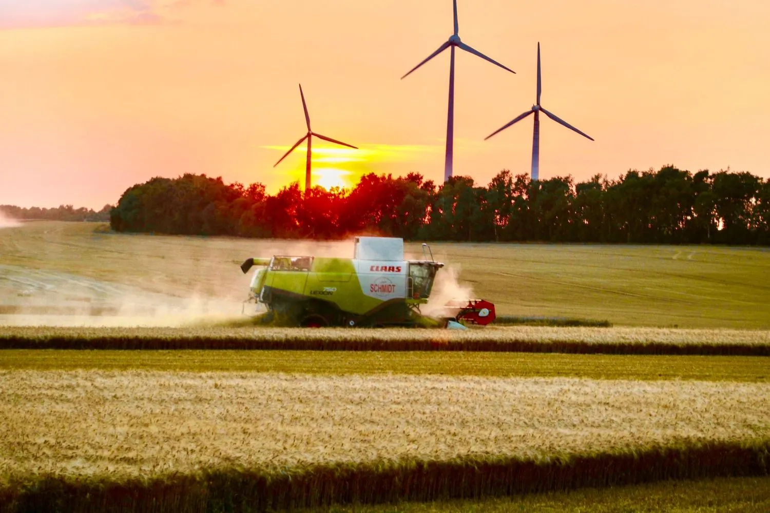 Lohrengel Consulting - Erneuerbare Energien - ein Claas Lexion Mähdrescher in einem Weizenfeld bei Sonnenuntergang.