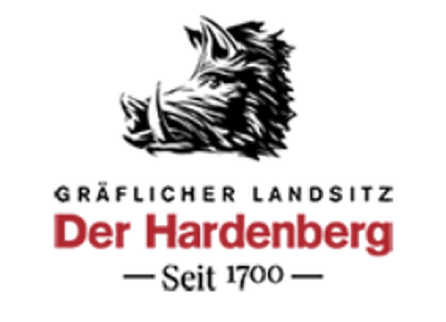 Lohrengel Consulting - Erneuerbare Energien - Partner - hardenberg logo