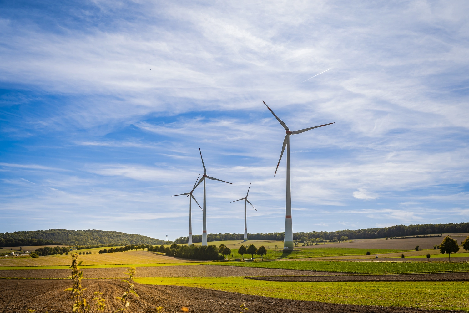 Lohrengel Consulting – Erneuerbare Energien – ein Windpark, der aus mehreren großen Windkraftanlagen auf einem Feld unter blauem Himmel besteht