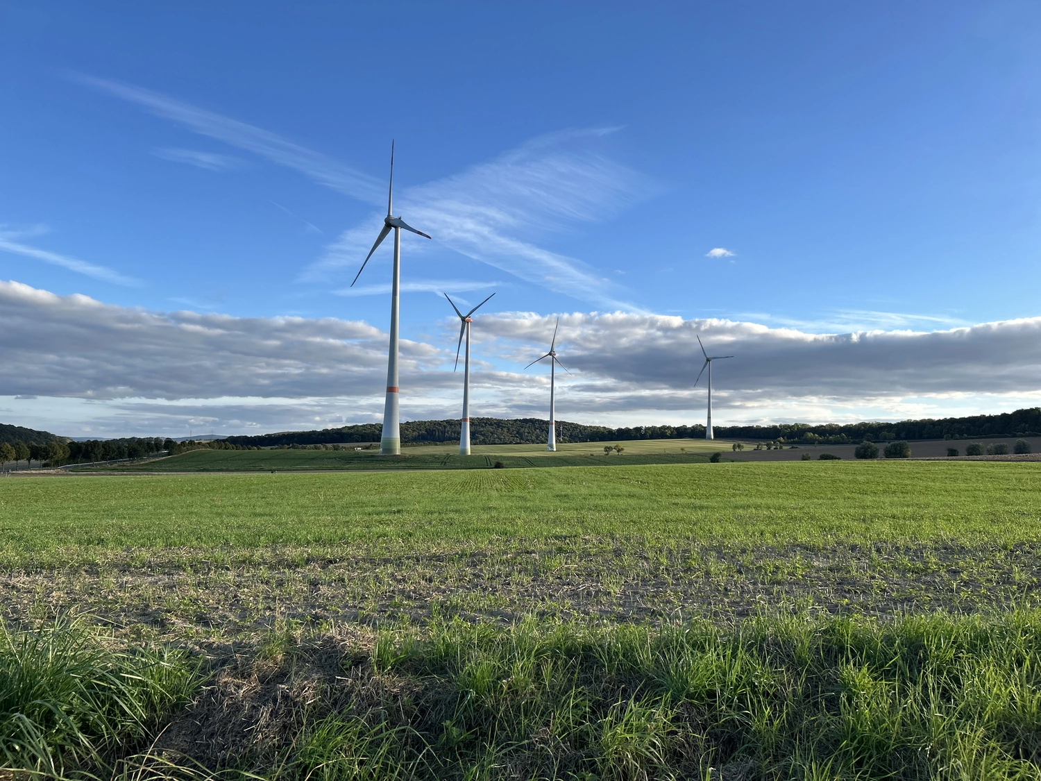 Lohrengel Consulting – Erneuerbare Energien – ein Windpark, der aus mehreren großen Windkraftanlagen auf einem Feld unter blauem Himmel besteht